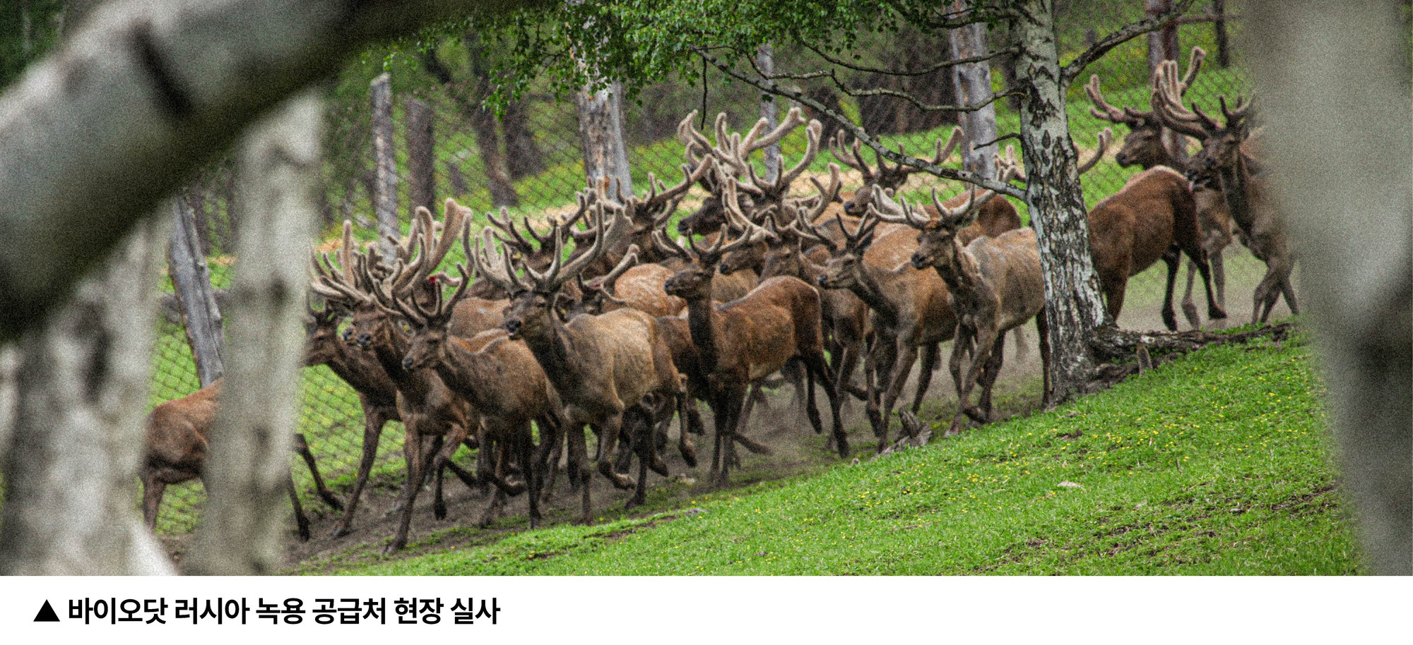 오픈클리닉 상세페이지 14번 이미지