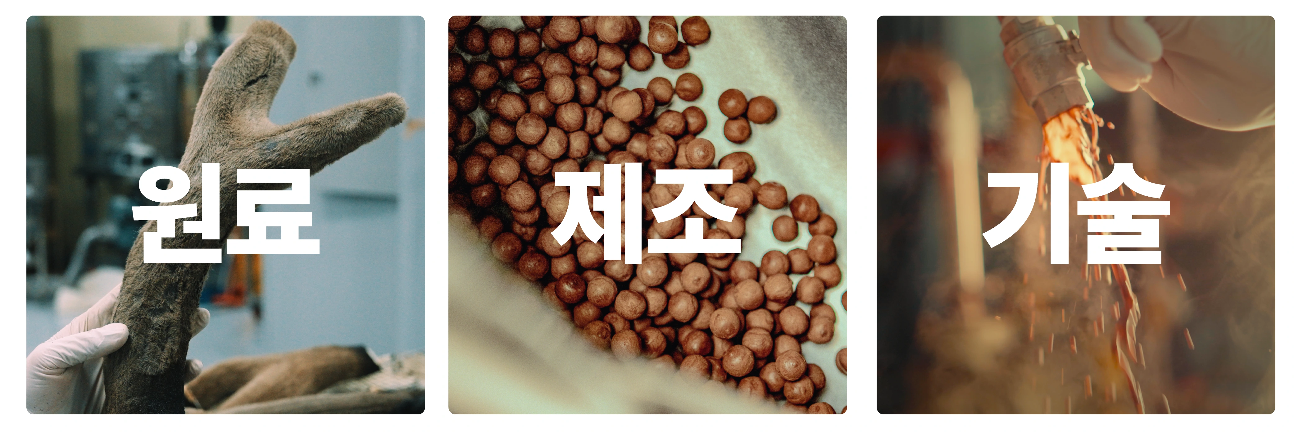 바이오닷의 원료 제조 기술 핵심 역량