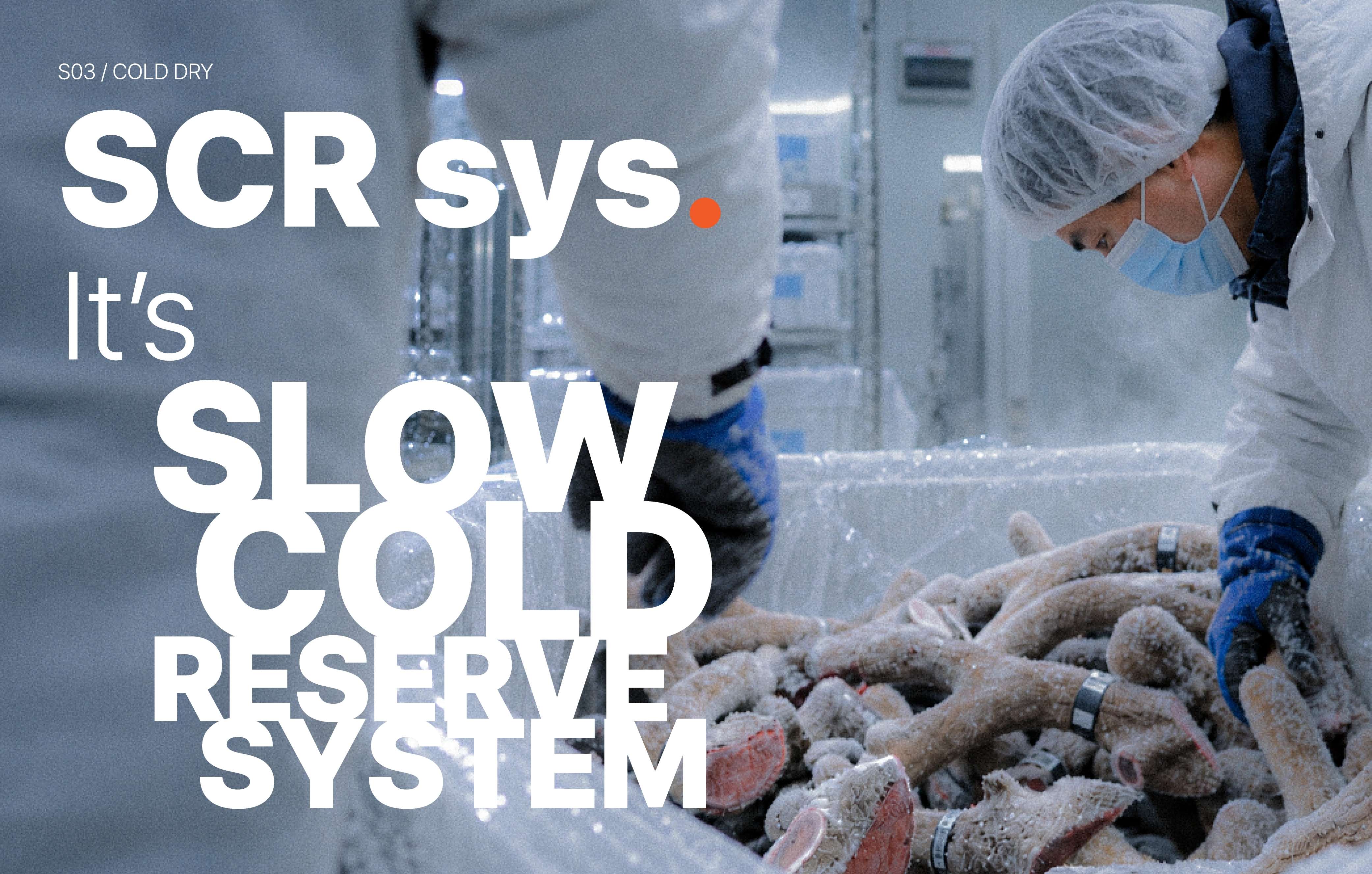 SCR sys. Slow Cold Reserve System