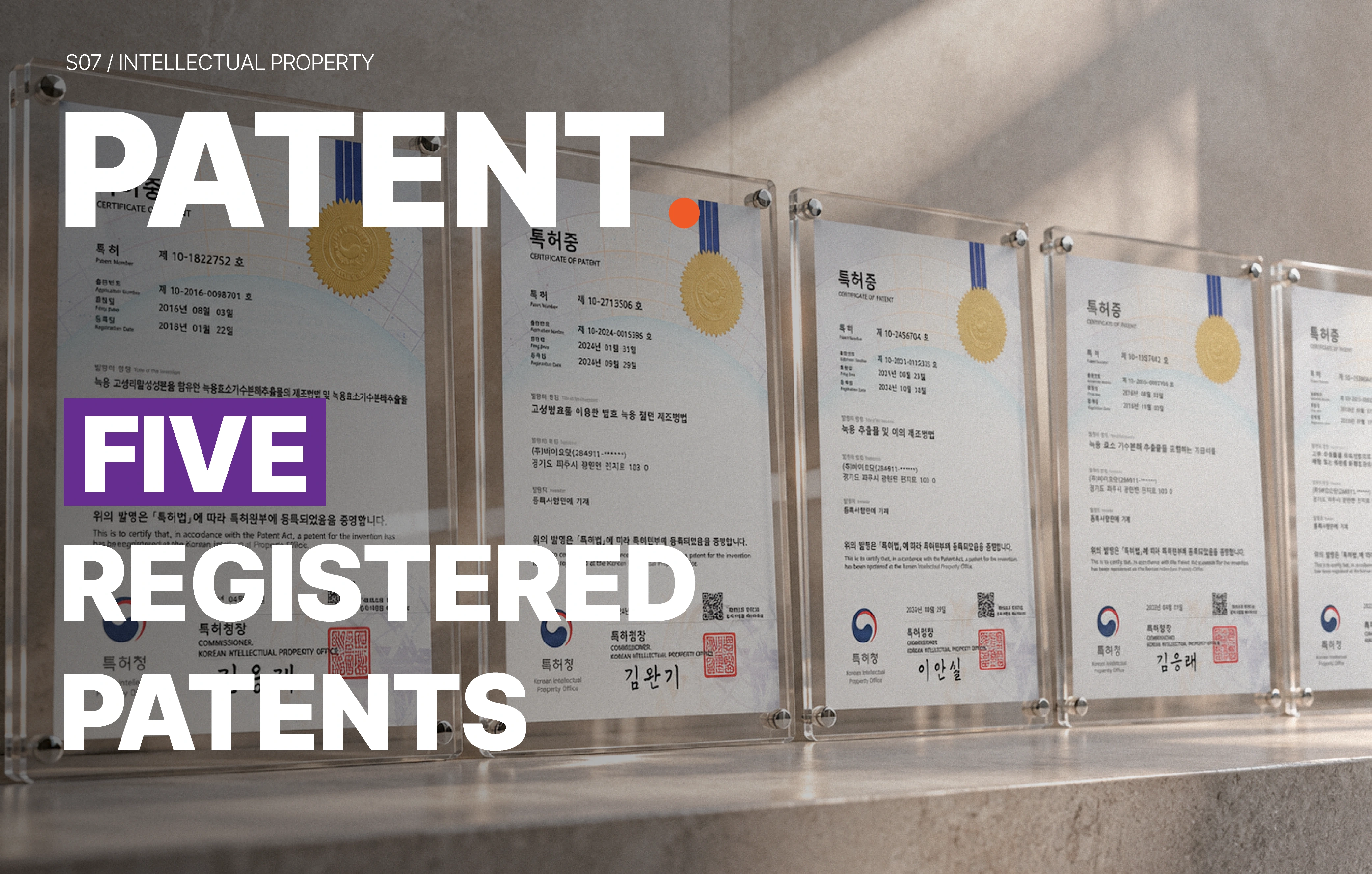 PATENT 특허 연구개발 실적